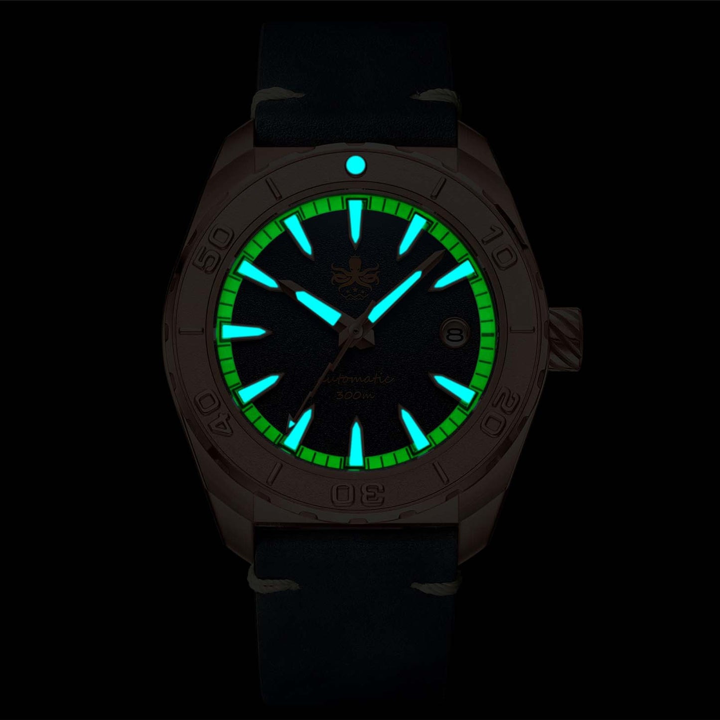 PROTEUS BRONZE NAVY BLUE